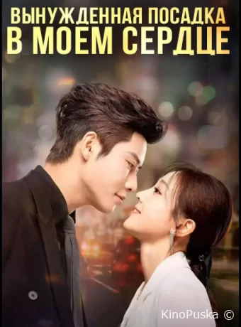 Вынужденная посадка в моем сердце (2025)